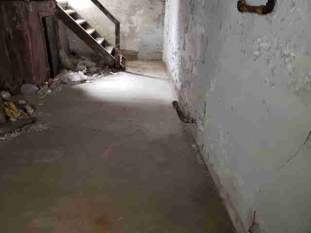 Testing again(50).jpg